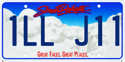 SD license plate 1LLJ11