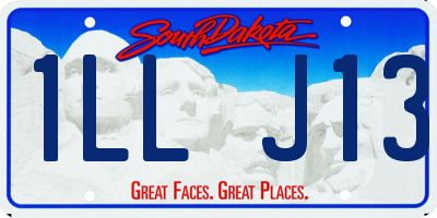 SD license plate 1LLJ13