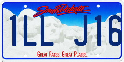 SD license plate 1LLJ16