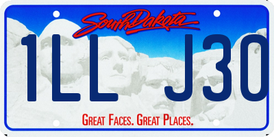 SD license plate 1LLJ30