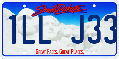 SD license plate 1LLJ33