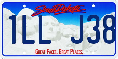 SD license plate 1LLJ38