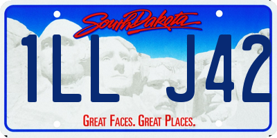 SD license plate 1LLJ42