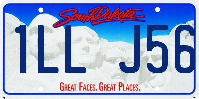 SD license plate 1LLJ56