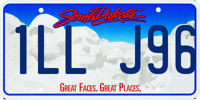 SD license plate 1LLJ96