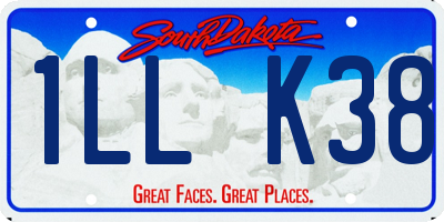 SD license plate 1LLK38