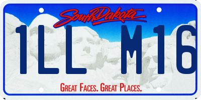 SD license plate 1LLM16