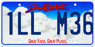 SD license plate 1LLM36