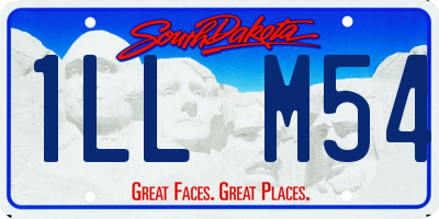 SD license plate 1LLM54