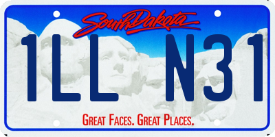 SD license plate 1LLN31