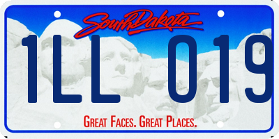 SD license plate 1LLO19
