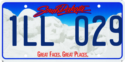 SD license plate 1LLO29