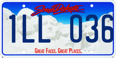 SD license plate 1LLO36
