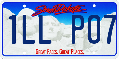 SD license plate 1LLP07
