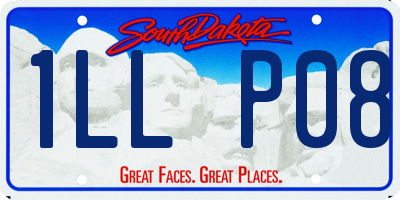SD license plate 1LLP08