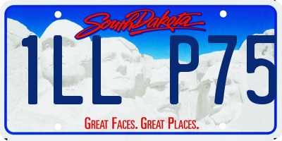 SD license plate 1LLP75
