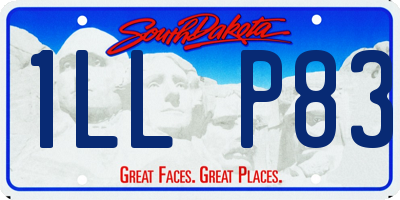 SD license plate 1LLP83