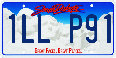 SD license plate 1LLP91