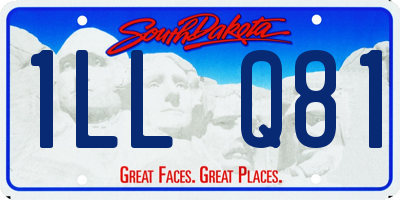 SD license plate 1LLQ81