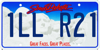 SD license plate 1LLR21