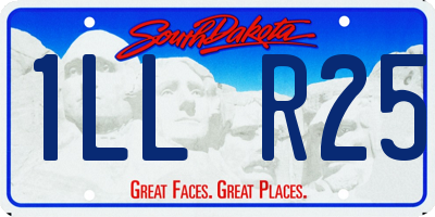 SD license plate 1LLR25