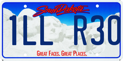 SD license plate 1LLR30