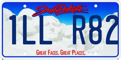 SD license plate 1LLR82