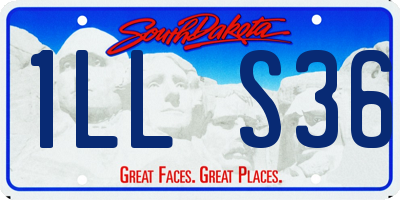 SD license plate 1LLS36