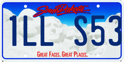 SD license plate 1LLS53