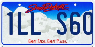 SD license plate 1LLS60