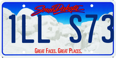 SD license plate 1LLS73
