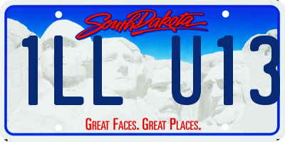SD license plate 1LLU13