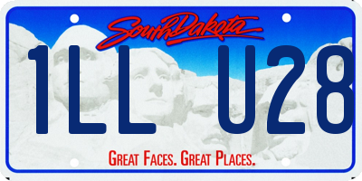 SD license plate 1LLU28