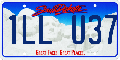 SD license plate 1LLU37