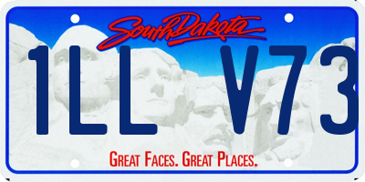 SD license plate 1LLV73