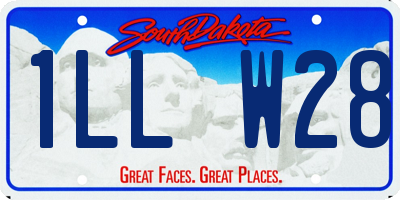 SD license plate 1LLW28