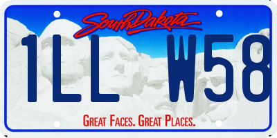 SD license plate 1LLW58
