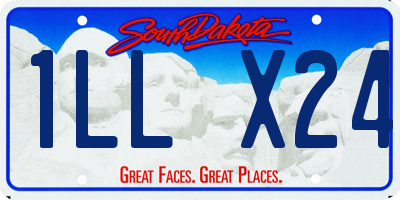 SD license plate 1LLX24