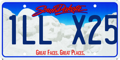SD license plate 1LLX25