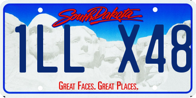 SD license plate 1LLX48