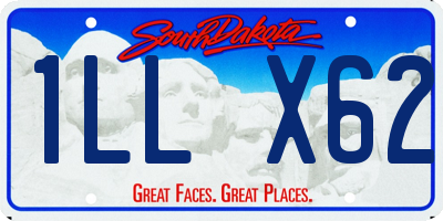 SD license plate 1LLX62