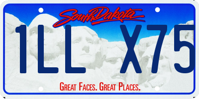 SD license plate 1LLX75