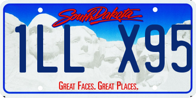 SD license plate 1LLX95