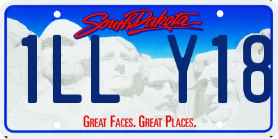 SD license plate 1LLY18