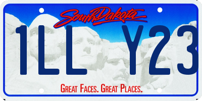 SD license plate 1LLY23