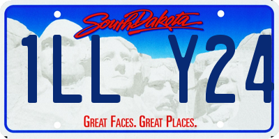 SD license plate 1LLY24