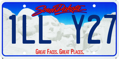 SD license plate 1LLY27