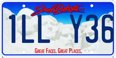 SD license plate 1LLY36