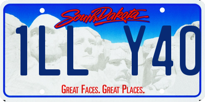 SD license plate 1LLY40