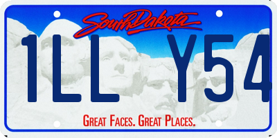 SD license plate 1LLY54